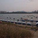 한강오리 이미지