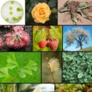 하나과학(주) 이미지