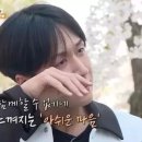 라비본 이미지