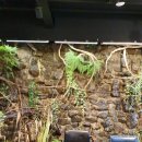 샐리제빵소 이미지