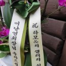 하모리갤러리 이미지