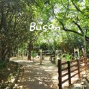 소리공원 화장실 | 부산 산책로 부산 진성 공원 가벼운 트레킹 화장실