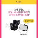 베네피아다산 이미지