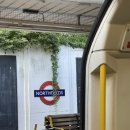 다시청춘민박 이미지