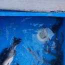 약산면-2 이미지