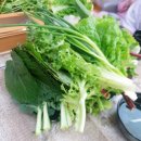 웰빙황토 우렁이 쌈밥 이미지