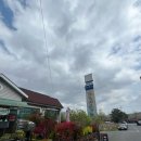 아쿠아춘천닭갈비 | 포항 문덕 아쿠아 춘천 닭갈비 방문 후기 🐟🍗