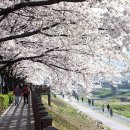 [도로]월계사거리 이미지