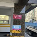 모전애사우나