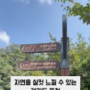 산정목장 2 이미지