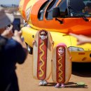 고양이 쉼터 이미지