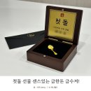 돌반지 대신 금한돈 금수저 선택했어요💛