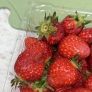 희주농장 이미지