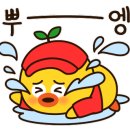 무지개포차 이미지