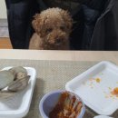 호주 퍼스 면세점 와인 후기 1편