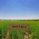 강서구청(신덕삼거리) 이미지