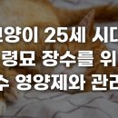 25세 동물병원 티스토리