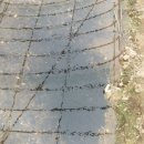 월학농장 이미지