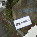 웨이크서핑 강습 남양주 빠지 달빛수상레저 강습 후기