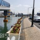 죽도동행정복지센터 이미지