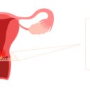 민트산부인과의원 이미지