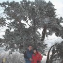 겨울여행 이미지