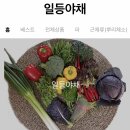 신선한야채
