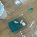 대구사수초등학교 이미지