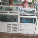 신기촌활어회 이미지