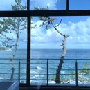 스파보드레 이미지