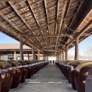 원조3대할머니순두부 이미지