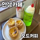 안성카페 오드커피 내돈내산 후기