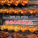 로데오바베큐 | [내돈내산] 평택고덕 로데오맛집|청춘통닭바베큐, 찹쌀 통닭바베큐 솔직 후기"