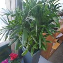 동광양꽃판매장 이미지