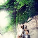 핀스튜디오 이미지