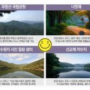 부지런한 식자재 마트 이미지