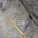 확보줄 네이버블로그