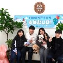 반려마루 화성 이미지