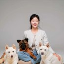 마젠타 이미지