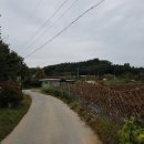 세종주유소 이미지