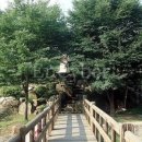 장령산자연휴양림야외음악당 네이버블로그