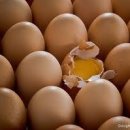 실용 생활 영어 이미지