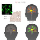내원백운 이미지