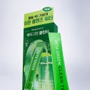 그린클린 네이버블로그