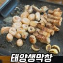 태양생막창 네이버블로그