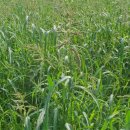 원광2농장 이미지