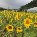 지우농장 이미지