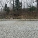 어도숲 캠핑장 이미지