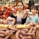 못난이 - 파주시 | 못난이