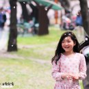 꽃보라동산 이미지